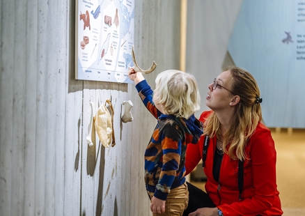 Frau und Kind erforschen Knochen bei Taststation in Sonderausstellung Eiszeitreise Grönland