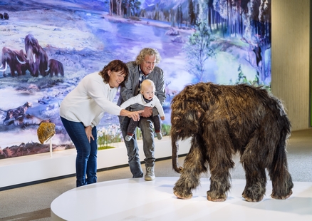 Senioren und Kind bestaunen Baby Mammut in Ausstellung