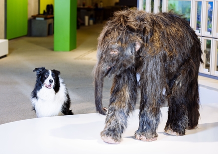 Hund steht neben Mammut in Ausstellung beim DoggyDay