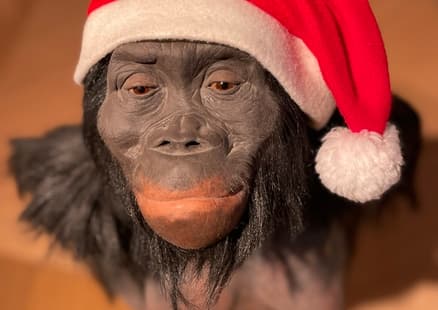 Australopithecus afarensis "Lucy" mit Weihnachtsmütze