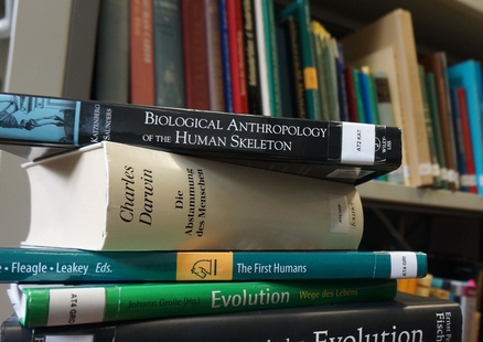 Bücher über Evolution in der Mediathek
