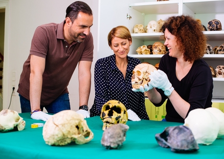 Humanfossilien werden bei Lehrerfortbildung in Steinzeitwerkstatt erklärt