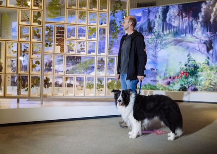 Hund mit Halter steht in Ausstellung beim DoggyDay