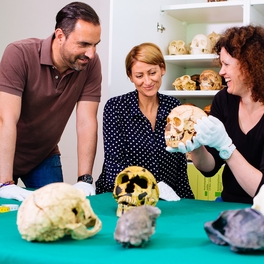 Humanfossilien werden bei Lehrerfortbildung in Steinzeitwerkstatt erklärt