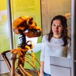 Erwachsene betrachtet homo erectus Skelett in Ausstellung