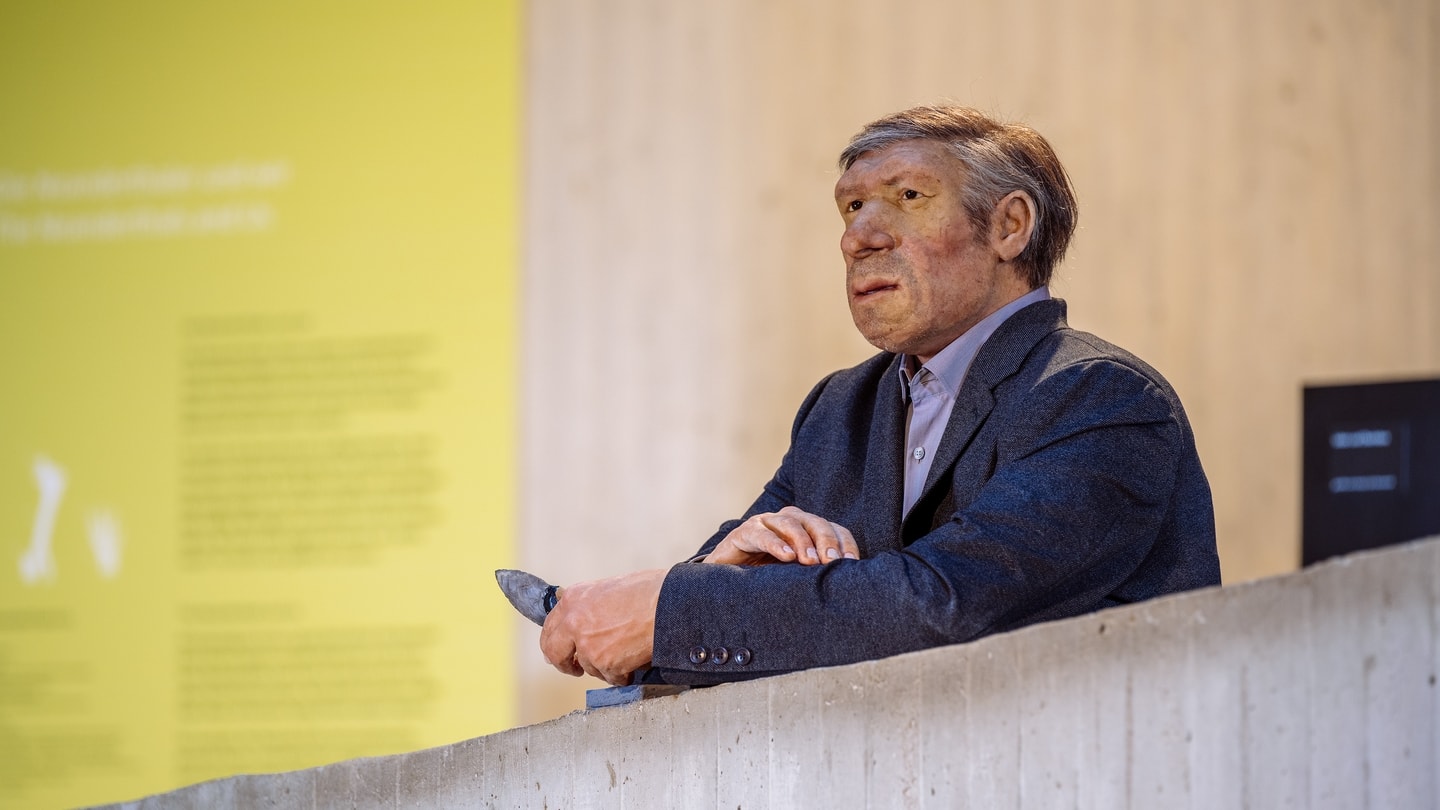 Rekonstruktion_Neanderthaler_Mr 4%_homo neanderthalensis_Neanderthal Museum