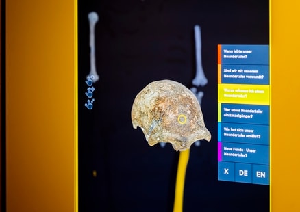 LVR Station Knochen des Neanderthalers_Nahaufnahme