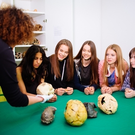 Untersuchung von Humanfossilien bei Workshop für Schulen in Steinzeitwerkstatt