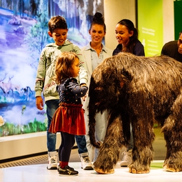 Kind steht mit Familie neben Baby Mammut in Ausstellung