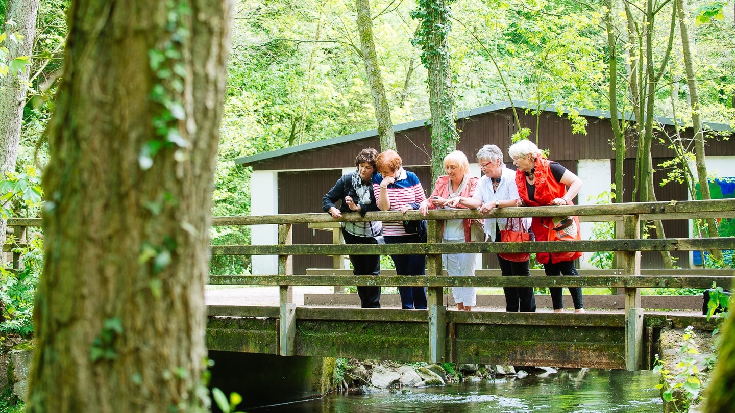 Erwachsene stehen auf Brücke beim Outdoor Kunstweg