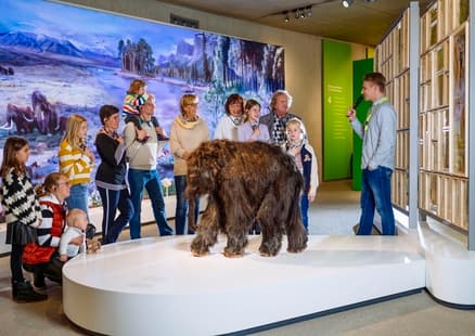 Familie lauscht Führung neben Mammut