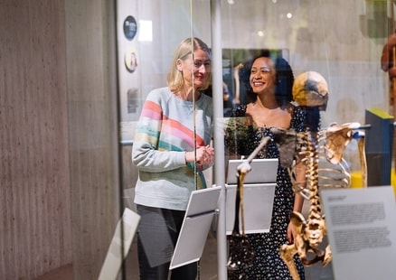 Erwachsene bestaunen hängendes Skelett von Homo Erectus in Ausstellung