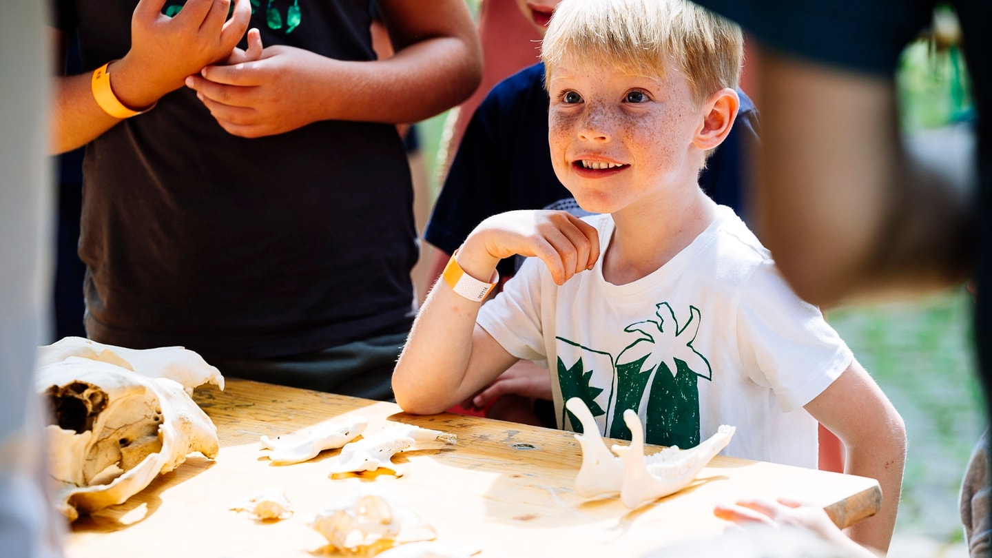 NTM-Museumsfest 2024-85754