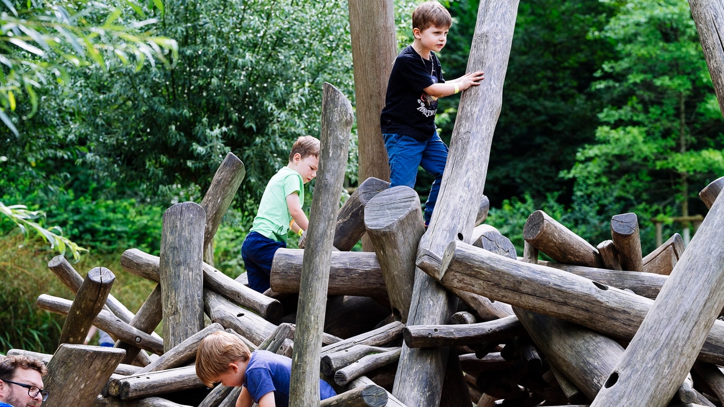 NTM-Museumsfest 2024-85842