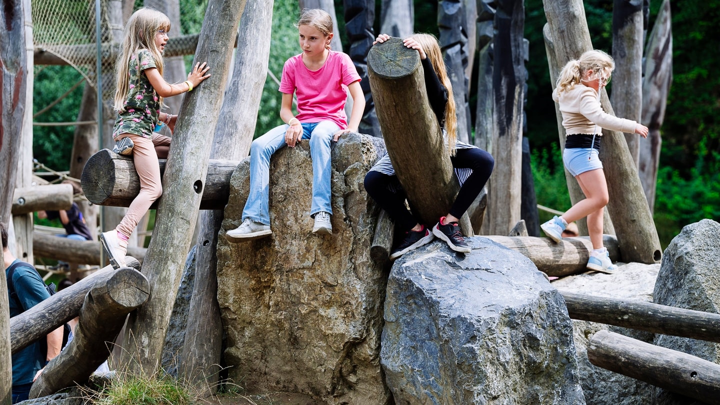 NTM-Museumsfest 2024-85865