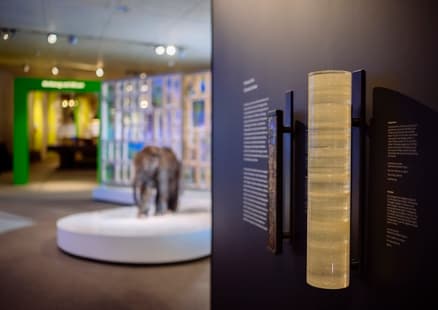 2021_Dauerausstellung_Eisbohrkern©NeanderthalMuseum