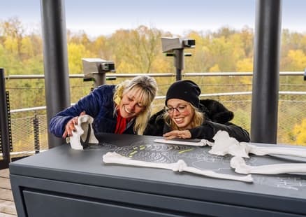 Erwachsene bestaunen Skelett auf Erlebnisturm Höhlenblick bei Firmen- und Teamevent